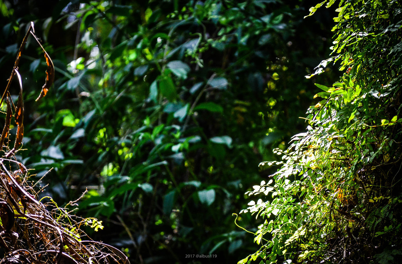 Photography artwork