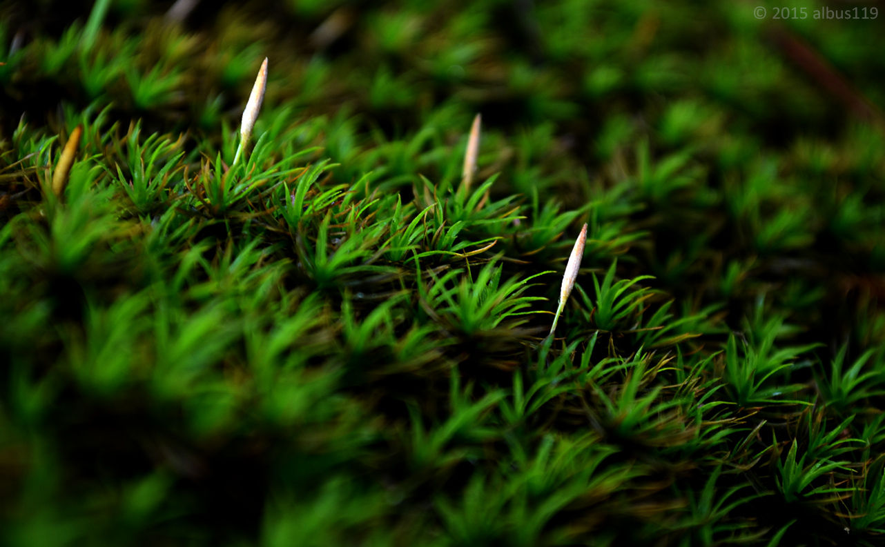 Photography artwork